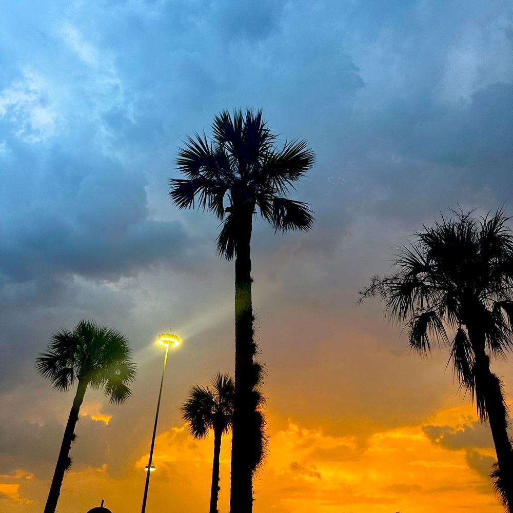 Meet your Posher, Ainsley